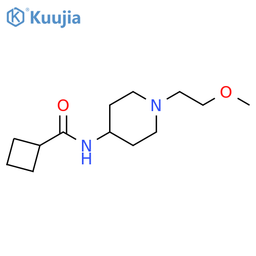 N-[1-(2-methoxyethyl)piperidin-4-yl]cyclobutanecarboxamide structure