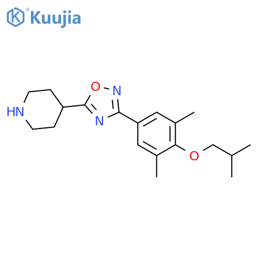 4-[3-(4-Isobutoxy-3,5-dimethyl-phenyl)-[1,2,4]oxadiazol-5-yl]-piperidine structure
