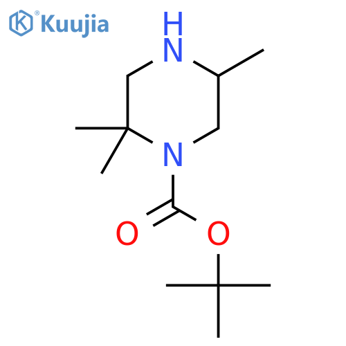 Tert-butyl 2,2,5-trimethylpiperazine-1-carboxylate structure
