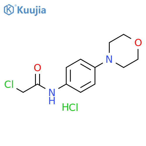 2-chloro-N-[4-(morpholin-4-yl)phenyl]acetamide hydrochloride structure