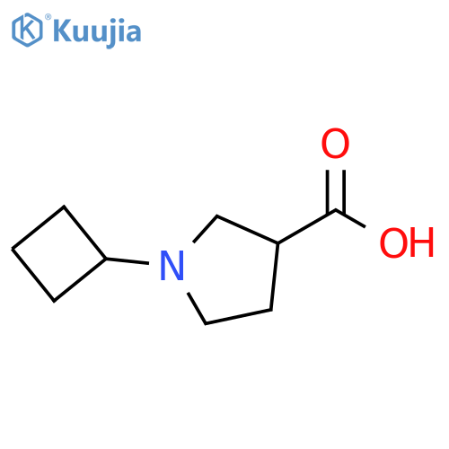 1-cyclobutylpyrrolidine-3-carboxylic acid structure
