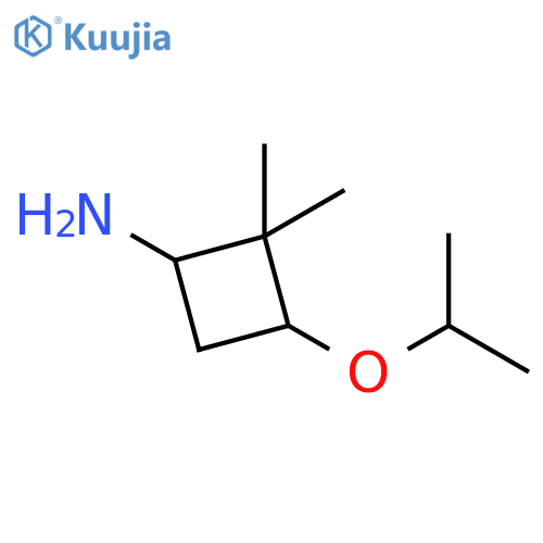 2,2-dimethyl-3-(propan-2-yloxy)cyclobutan-1-amine structure
