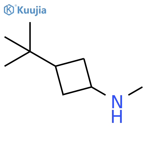 3-tert-butyl-N-methylcyclobutan-1-amine structure