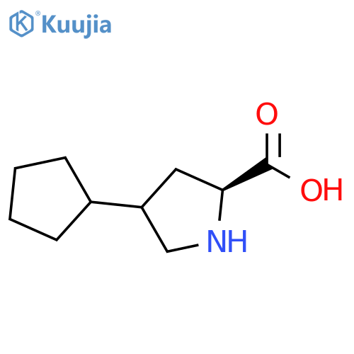 4-cyclopentylpyrrolidine-2-carboxylic acid structure