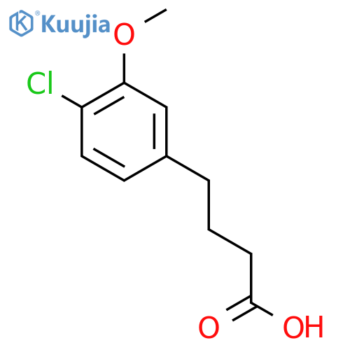 4-(4-chloro-3-methoxyphenyl)butanoic acid structure
