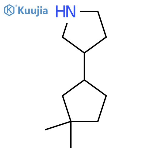 3-(3,3-dimethylcyclopentyl)pyrrolidine structure