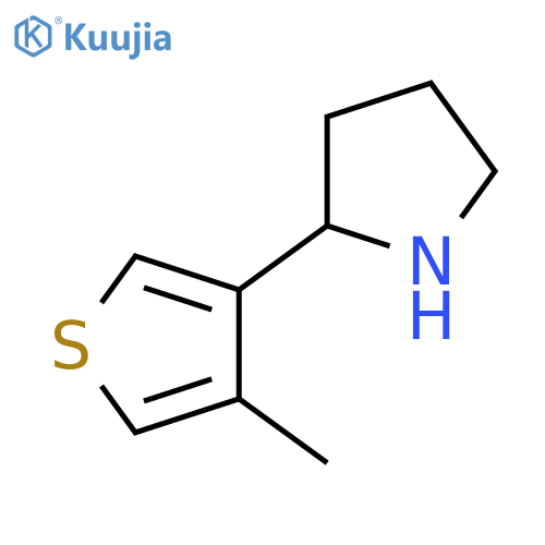 2-(4-methylthiophen-3-yl)pyrrolidine structure
