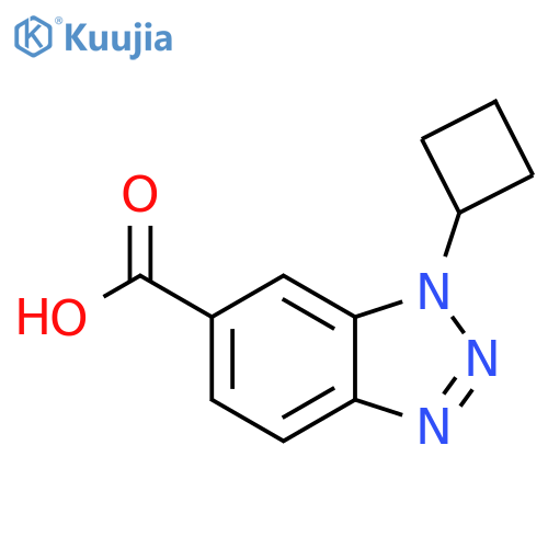 1-cyclobutyl-1H-1,2,3-benzotriazole-6-carboxylic acid structure