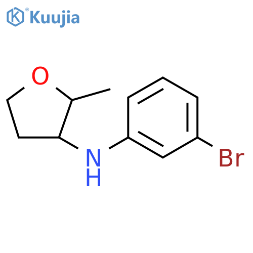 N-(3-bromophenyl)-2-methyloxolan-3-amine structure