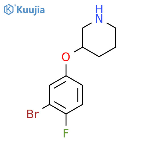 3-(3-bromo-4-fluorophenoxy)piperidine structure