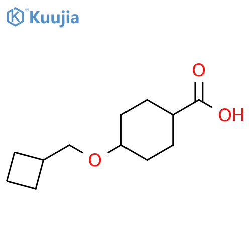 4-(cyclobutylmethoxy)cyclohexane-1-carboxylic acid structure