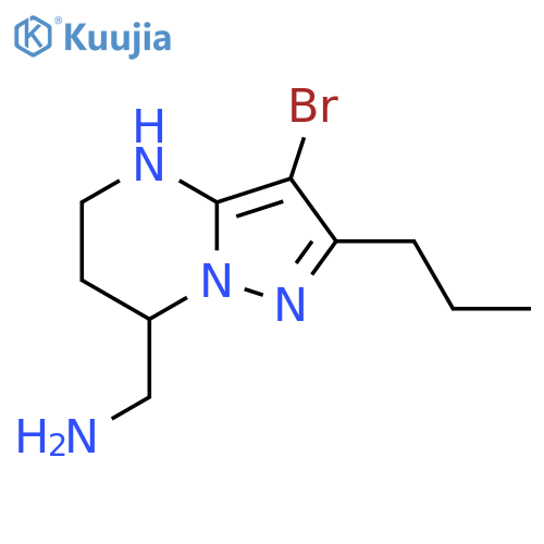 {3-bromo-2-propyl-4H,5H,6H,7H-pyrazolo1,5-apyrimidin-7-yl}methanamine structure