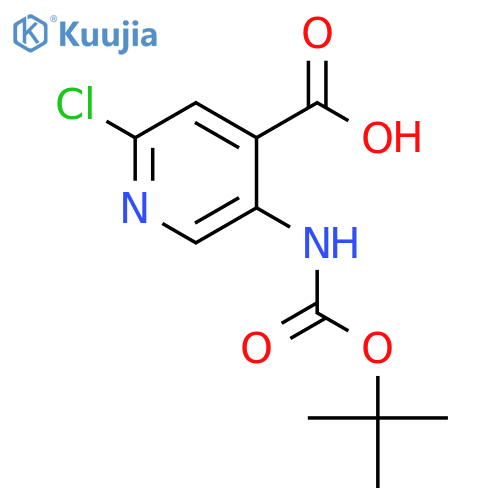 5-{[(tert-butoxy)carbonyl]amino}-2-chloropyridine-4-carboxylic acid structure