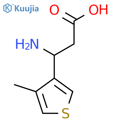 3-amino-3-(4-methylthiophen-3-yl)propanoic acid structure