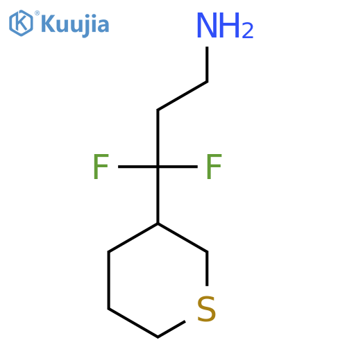 3,3-difluoro-3-(thian-3-yl)propan-1-amine structure