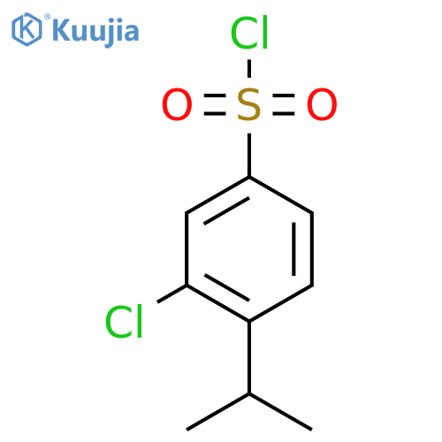 3-Chloro-4-propan-2-ylbenzenesulfonyl chloride structure