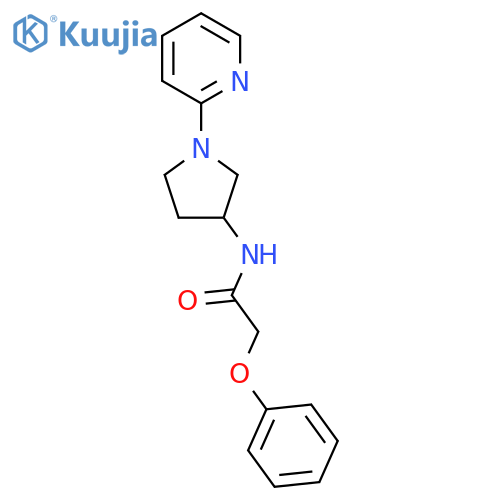 2-Phenoxy-N-[1-(2-pyridinyl)-3-pyrrolidinyl]acetamide structure