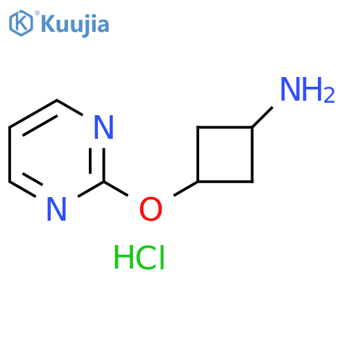 Cyclobutanamine, 3-(2-pyrimidinyloxy)-, hydrochloride (1:1) structure