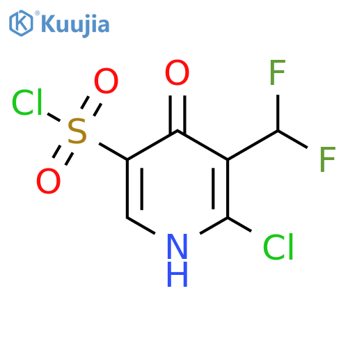 2-Chloro-3-(difluoromethyl)-4-hydroxypyridine-5-sulfonyl chloride structure