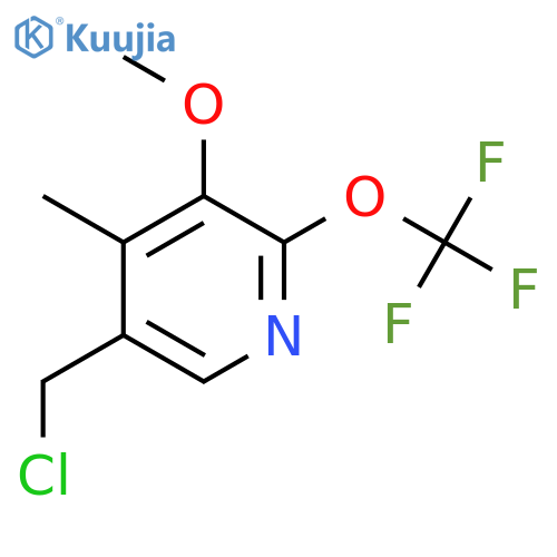 5-(Chloromethyl)-3-methoxy-4-methyl-2-(trifluoromethoxy)pyridine structure