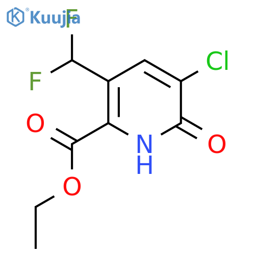 Ethyl 3-chloro-5-(difluoromethyl)-2-hydroxypyridine-6-carboxylate structure