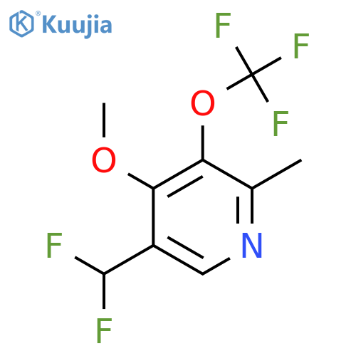 5-(Difluoromethyl)-4-methoxy-2-methyl-3-(trifluoromethoxy)pyridine structure