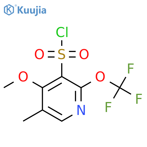 4-Methoxy-5-methyl-2-(trifluoromethoxy)pyridine-3-sulfonyl chloride structure