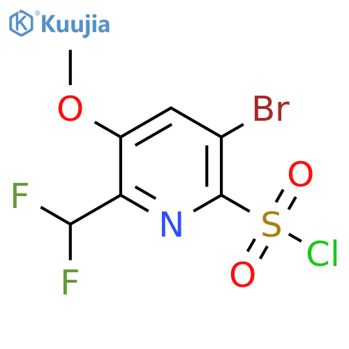 5-Bromo-2-(difluoromethyl)-3-methoxypyridine-6-sulfonyl chloride structure