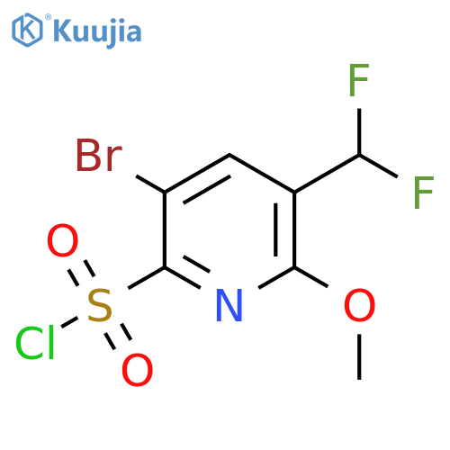 3-Bromo-5-(difluoromethyl)-6-methoxypyridine-2-sulfonyl chloride structure