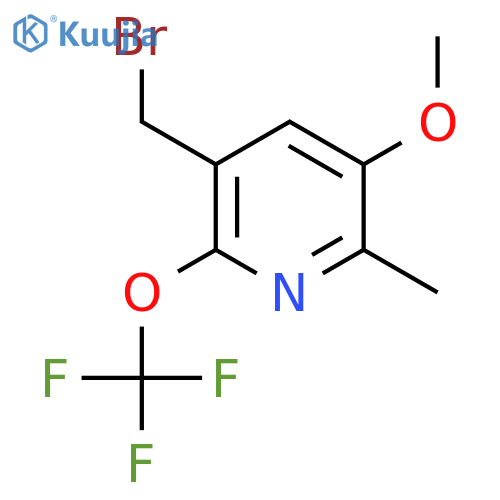 3-(Bromomethyl)-5-methoxy-6-methyl-2-(trifluoromethoxy)pyridine structure