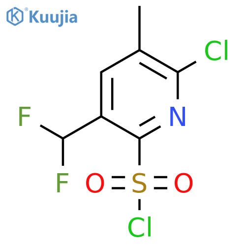 2-Chloro-5-(difluoromethyl)-3-methylpyridine-6-sulfonyl chloride structure