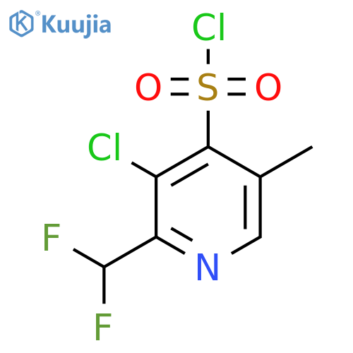 3-Chloro-2-(difluoromethyl)-5-methylpyridine-4-sulfonyl chloride structure