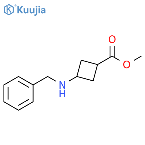 Cyclobutanecarboxylic acid, 3-[(phenylmethyl)amino]-, methyl ester structure