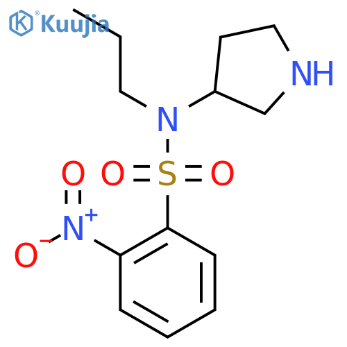 2-Nitro-N-propyl-N-(pyrrolidin-3-yl)benzene-1-sulfonamide structure