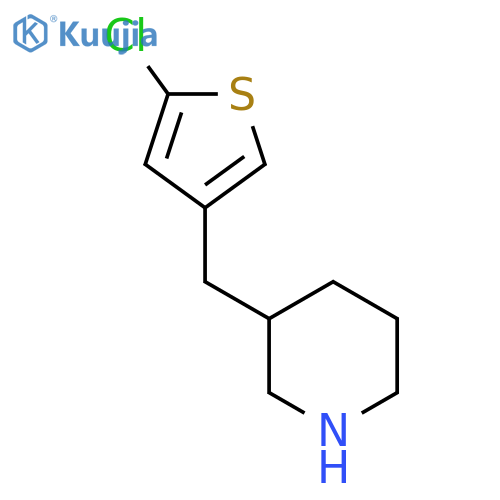 3-[(5-Chlorothiophen-3-yl)methyl]piperidine structure