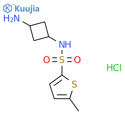 5-methyl-N-[(1r,3r)-3-aminocyclobutyl]thiophene-2-sulfonamide hydrochloride structure