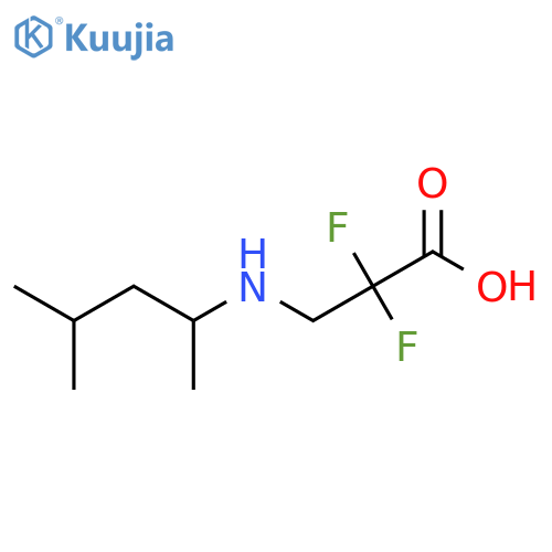 2,2-Difluoro-3-[(4-methylpentan-2-yl)amino]propanoic acid structure