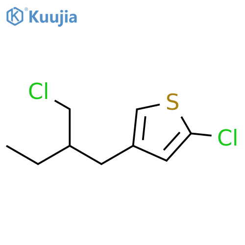 Thiophene, 2-chloro-4-[2-(chloromethyl)butyl]- structure
