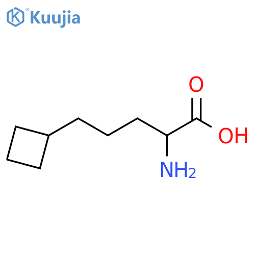 2-amino-5-cyclobutylpentanoic acid structure