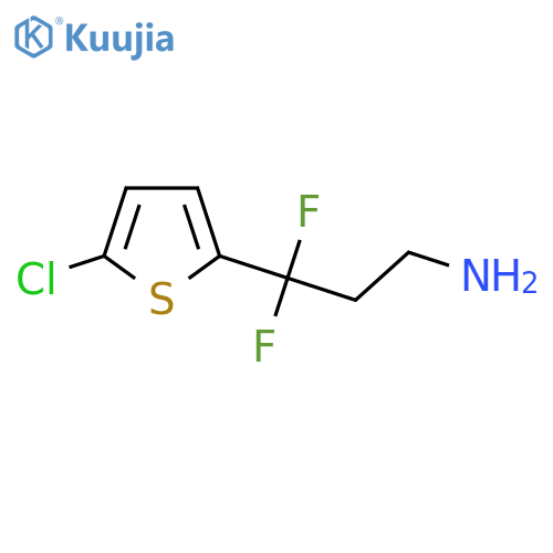 3-(5-chlorothiophen-2-yl)-3,3-difluoropropan-1-amine structure