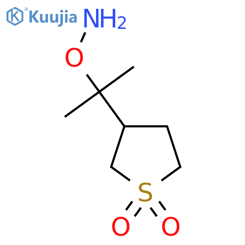3-2-(aminooxy)propan-2-yl-1lambda6-thiolane-1,1-dione structure
