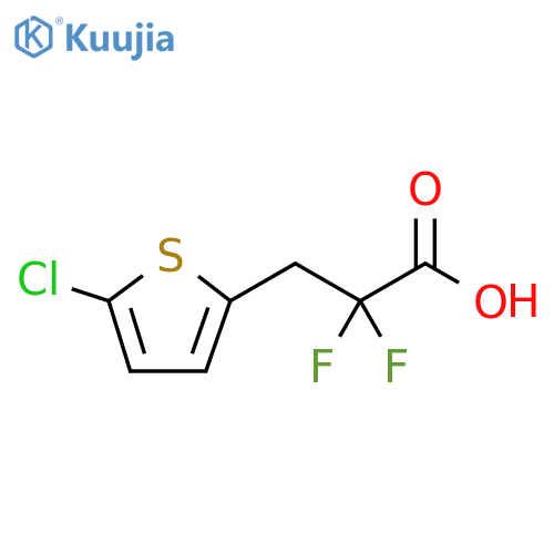 2-Thiophenepropanoic acid, 5-chloro-α,α-difluoro- structure