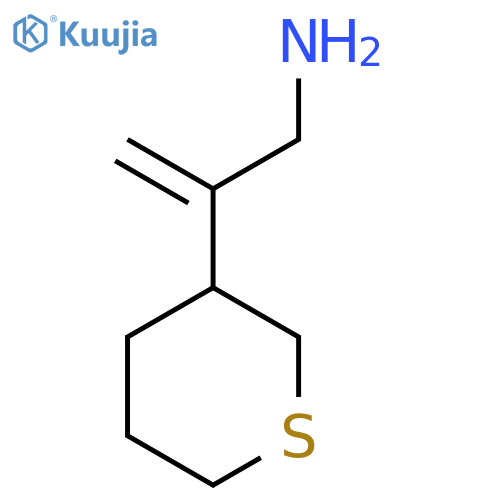 2-(thian-3-yl)prop-2-en-1-amine structure