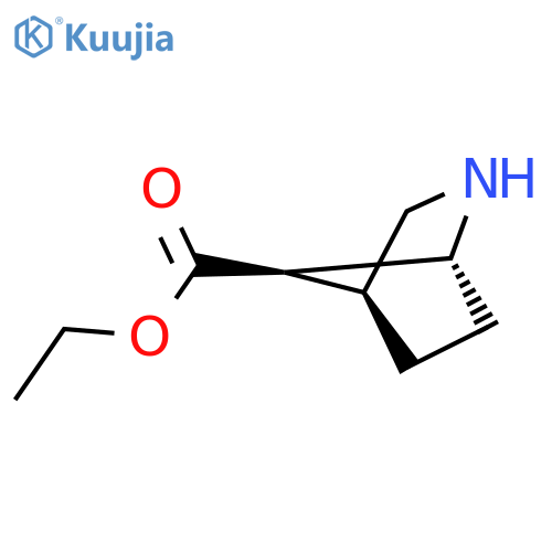 rac-ethyl (1R,4S,7R)-2-azabicyclo2.2.1heptane-7-carboxylate structure