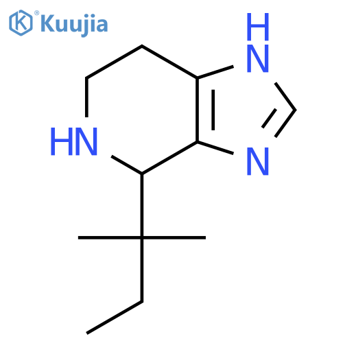 4-(2-methylbutan-2-yl)-3H,4H,5H,6H,7H-imidazo4,5-cpyridine structure