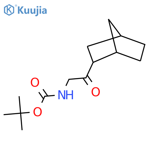 tert-butyl N-(2-{bicyclo[2.2.1]heptan-2-yl}-2-oxoethyl)carbamate structure