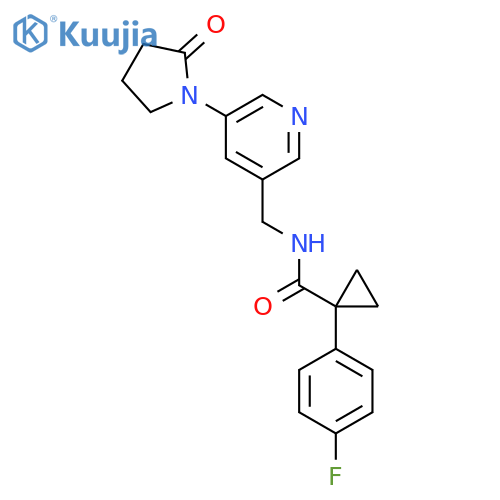 1-(4-fluorophenyl)-N-{[5-(2-oxopyrrolidin-1-yl)pyridin-3-yl]methyl}cyclopropane-1-carboxamide structure