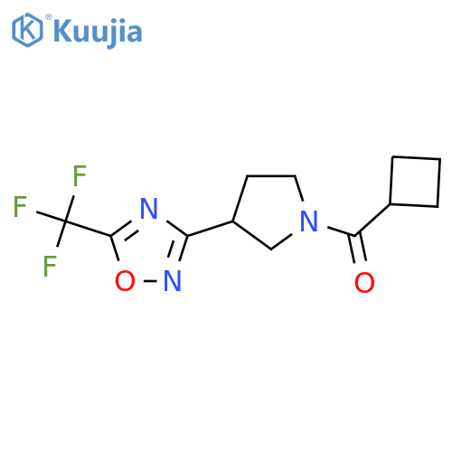 Cyclobutyl(3-(5-(trifluoromethyl)-1,2,4-oxadiazol-3-yl)pyrrolidin-1-yl)methanone structure