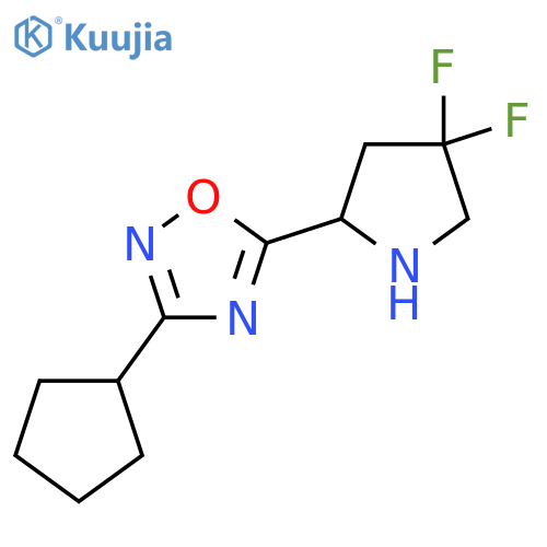 3-Cyclopentyl-5-(4,4-difluoropyrrolidin-2-yl)-1,2,4-oxadiazole structure