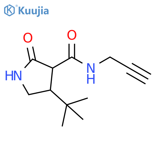 4-tert-butyl-2-oxo-N-(prop-2-yn-1-yl)pyrrolidine-3-carboxamide structure